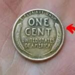 Lincoln Wheat Penny Worth